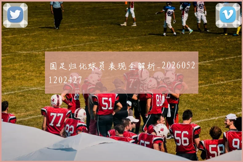 国足归化球员表现全解析_20260521202427